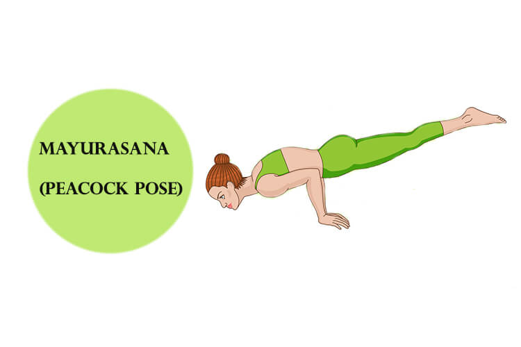 mayurasana-yoga-pose