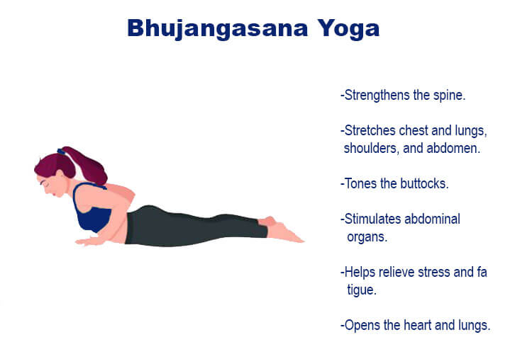 Hatha Yoga: 10 Best Yoga Poses